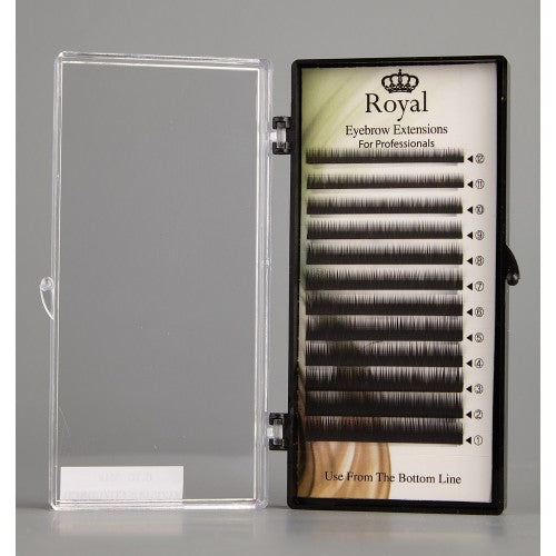 Royal Eyebrow Extensions Mix 0.10mm - Negru